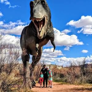 Meet your Posher, Shar